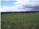 Lot 4  Farley Road, Callington SA 5254