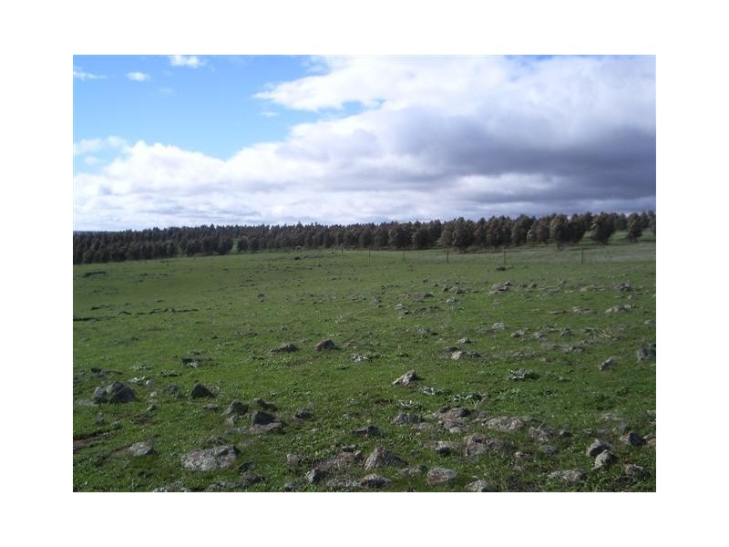 Lot 4  Farley Road, Callington SA 5254