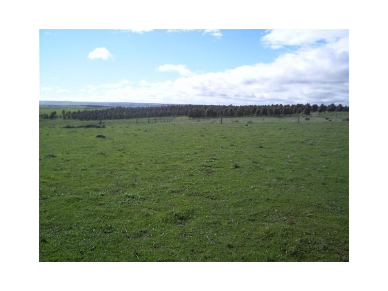 Lot 4  Farley Road, Callington SA 5254