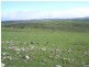 Lot 4  Farley Road, Callington SA 5254