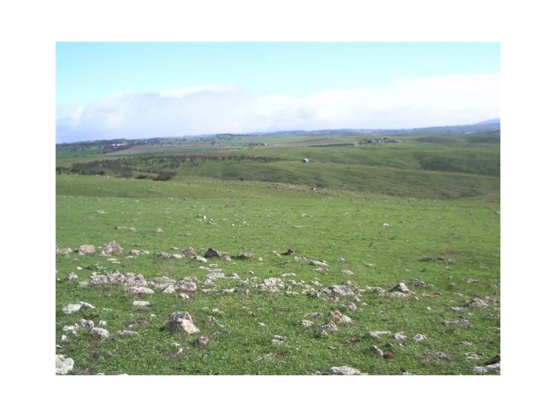 Lot 4  Farley Road, Callington SA 5254