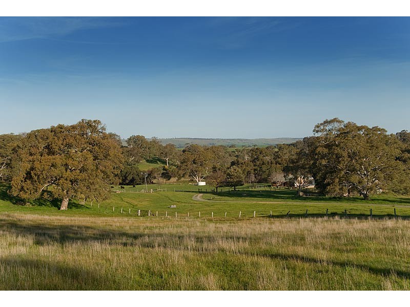Lot 25and26 Gladigau and Schoolbus Road, Harrogate SA 5244