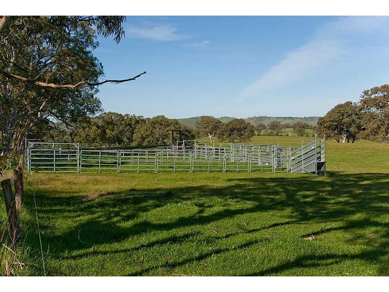 Lot 25and26 Gladigau and Schoolbus Road, Harrogate SA 5244
