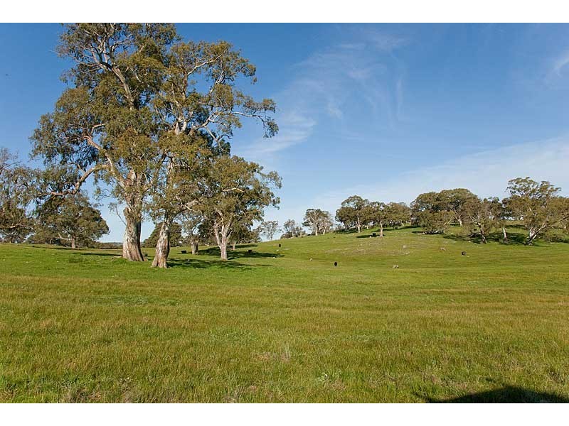 Lot 25and26 Gladigau and Schoolbus Road, Harrogate SA 5244