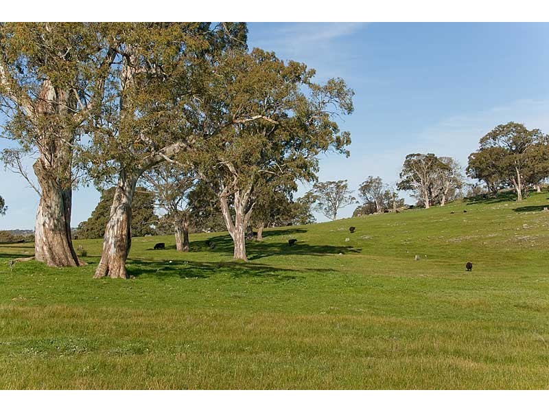Lot 25and26 Gladigau and Schoolbus Road, Harrogate SA 5244