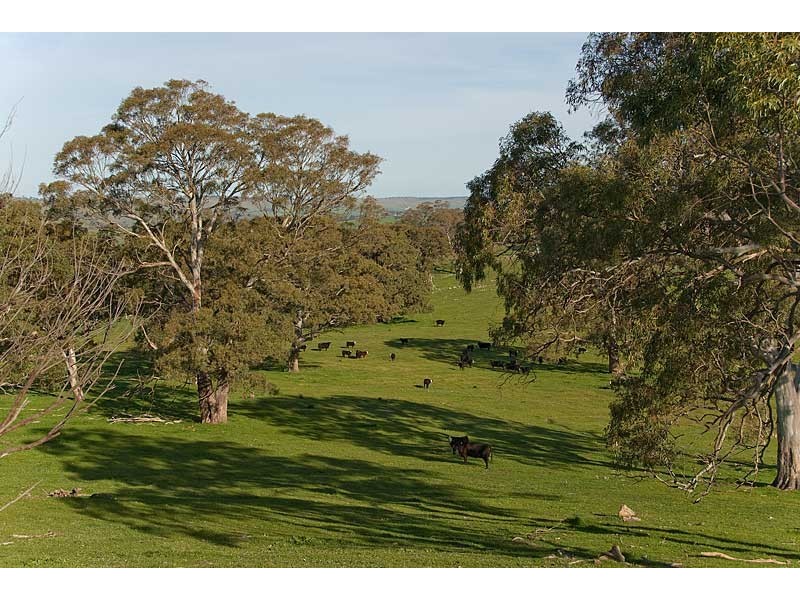 Lot 25and26 Gladigau and Schoolbus Road, Harrogate SA 5244