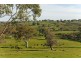 Lot 25and26 Gladigau and Schoolbus Road, Harrogate SA 5244