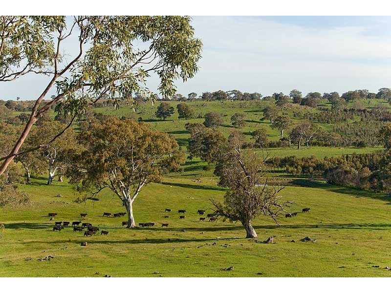 Lot 25and26 Gladigau and Schoolbus Road, Harrogate SA 5244