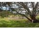 Lot 297  Archer Hill Road, Wistow SA 5251