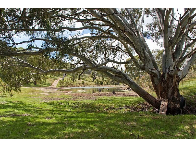 Lot 297  Archer Hill Road, Wistow SA 5251