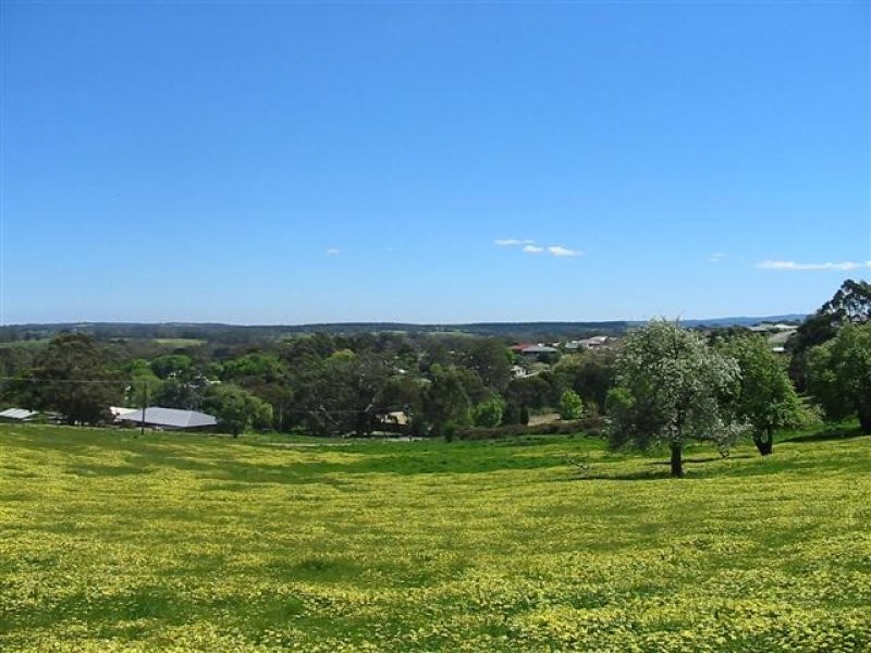 Lot 50 Mill Street, Meadows SA 5201