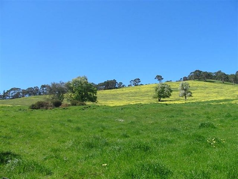 Lot 50 Mill Street, Meadows SA 5201