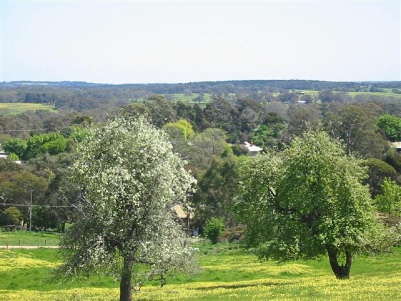 Lot 50 Mill Street, Meadows SA 5201