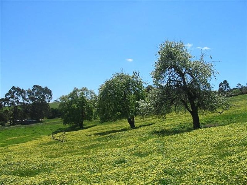 Lot 50 Mill Street, Meadows SA 5201