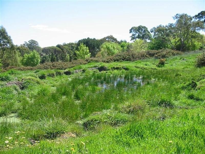 Lot 50 Mill Street, Meadows SA 5201