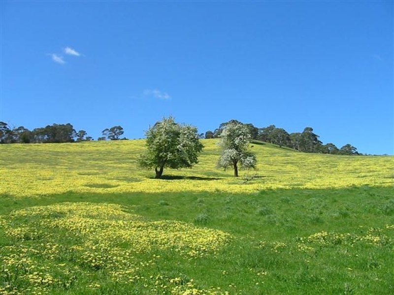 Lot 50 Mill Street, Meadows SA 5201