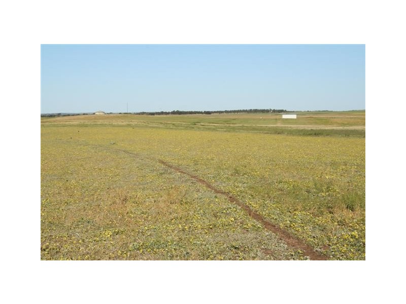 Lots 4 and 5 Jervois Road, Murray Bridge SA 5253