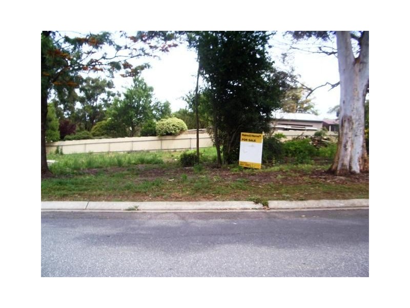 Lot 432 Stirling Street, Nairne SA 5252