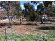 Lot 7 Young Road, Kanmantoo SA 5252