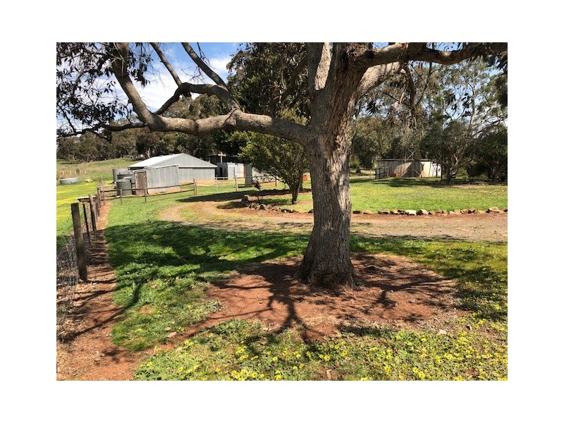 13 Nelson Road, Wistow SA 5251