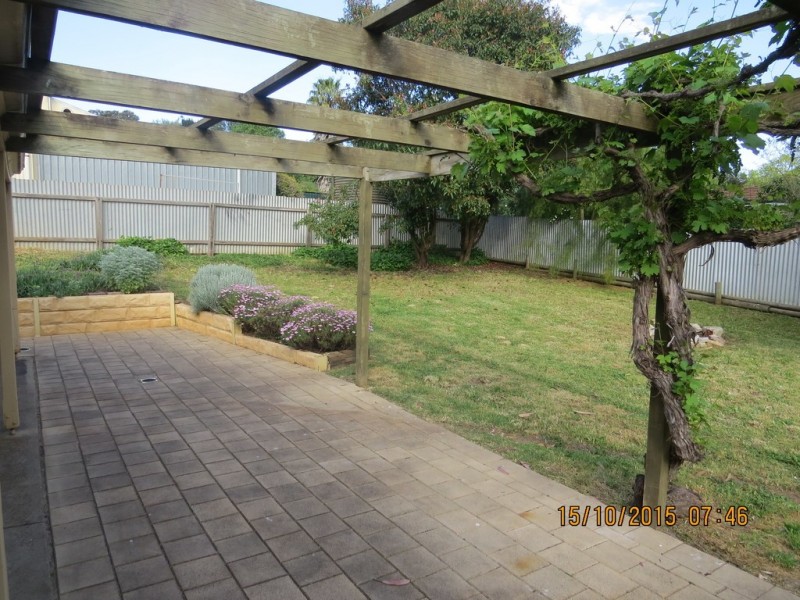 17 Bowyer Street, Mount Barker SA 5251