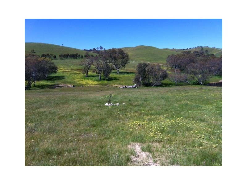 Lot 11 Harrogate Road, Harrogate SA 5244