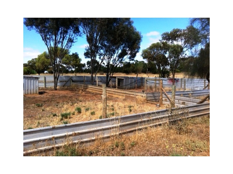 34 Hallett Street, Callington SA 5254