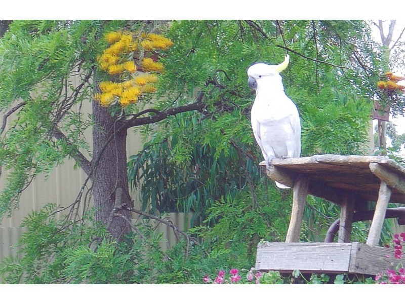 75 Woodside Road, Nairne SA 5252