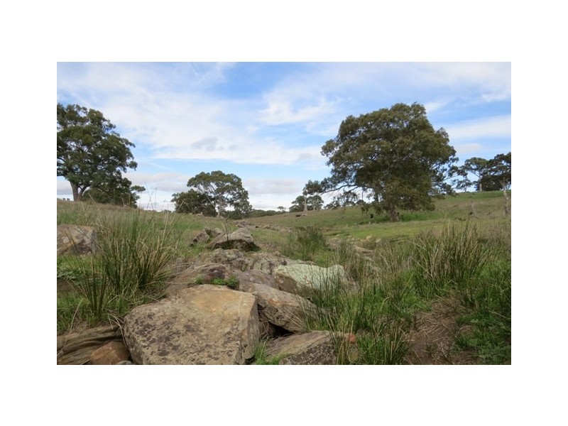 1383 Wiles Fire Track, Wistow SA 5251