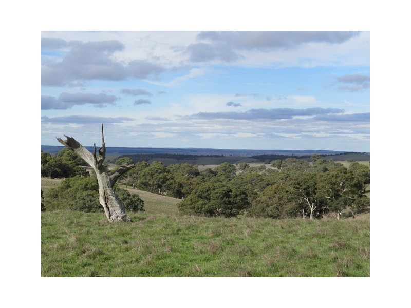 1383 Wiles Fire Track, Wistow SA 5251