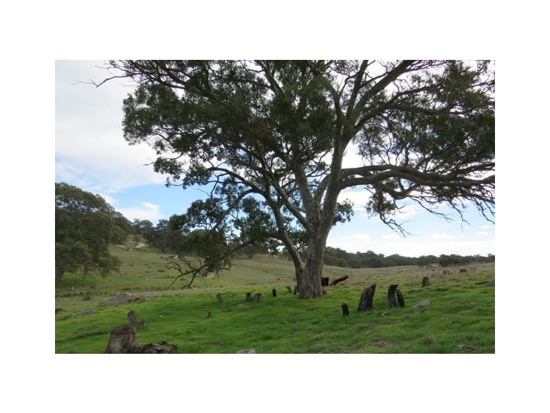 1383 Wiles Fire Track, Wistow SA 5251