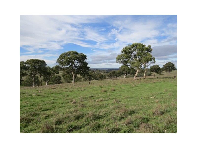 1383 Wiles Fire Track, Wistow SA 5251