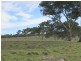 Lot 4 Wiles Fire Track, Wistow SA 5251