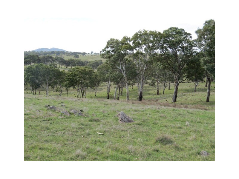 Lot 4 Wiles Fire Track, Wistow SA 5251