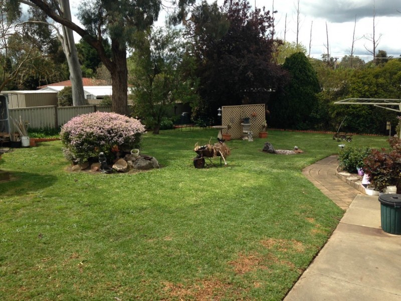 53 Albert Road, Mount Barker SA 5251