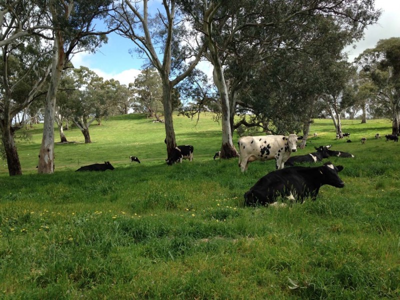 102 Muellers Road, Birdwood SA 5234