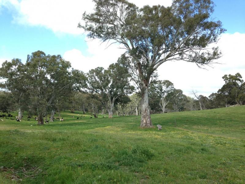 102 Muellers Road, Birdwood SA 5234