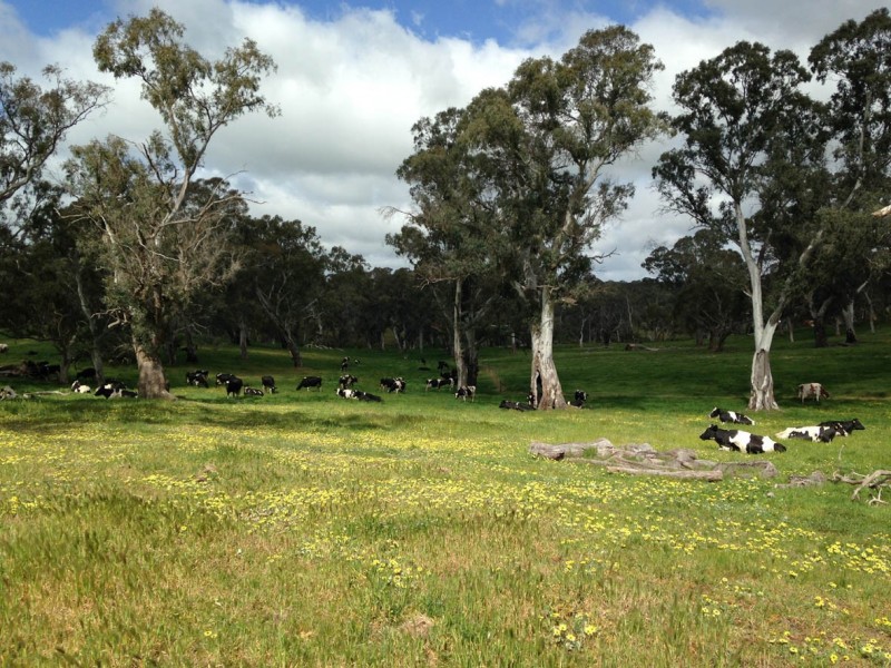 102 Muellers Road, Birdwood SA 5234