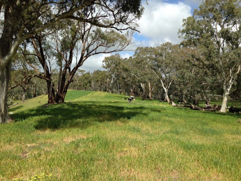 102 Muellers Road, Birdwood SA 5234