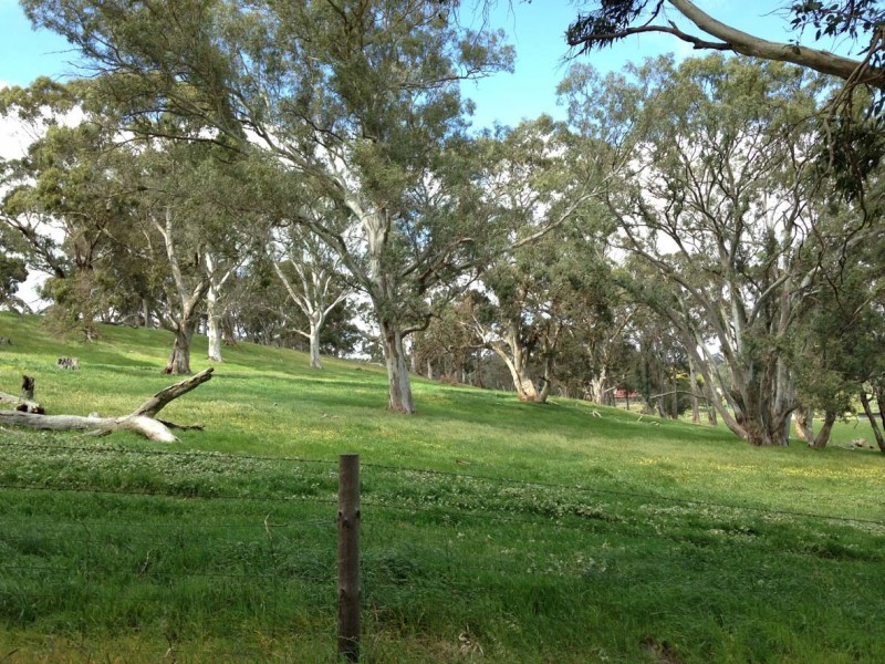 102 Muellers Road, Birdwood SA 5234