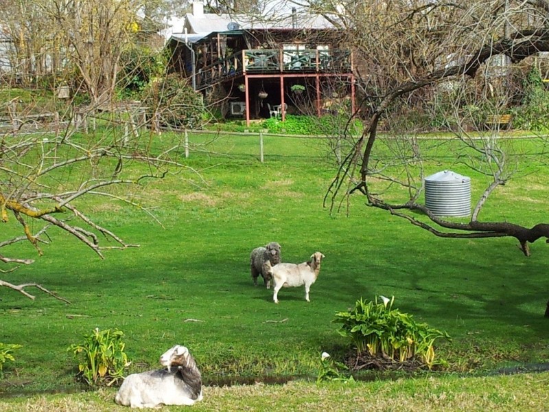 109 Mawson Road, Meadows SA 5201