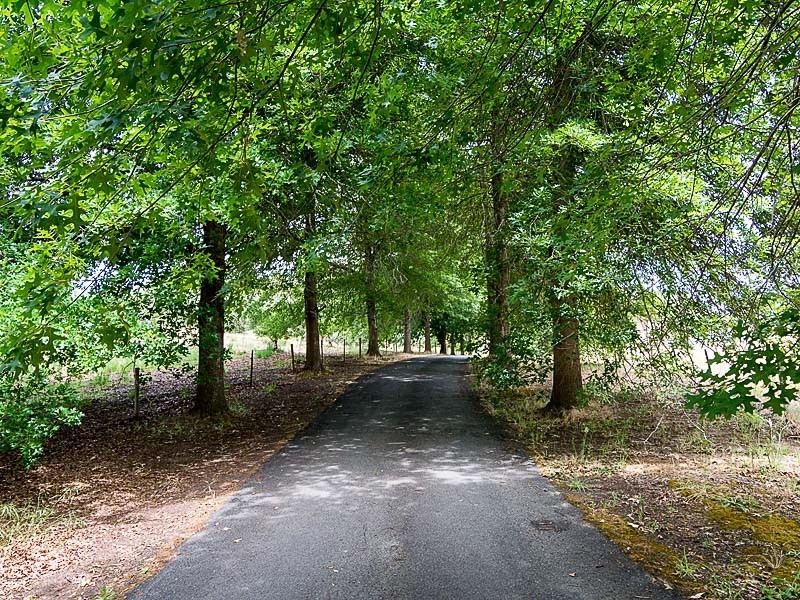 19 Martins Road, Oakbank SA 5243