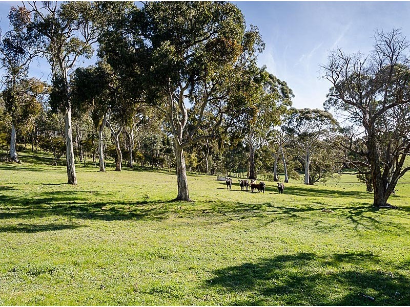 19 Martins Road, Oakbank SA 5243