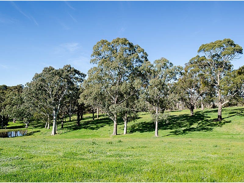 19 Martins Road, Oakbank SA 5243