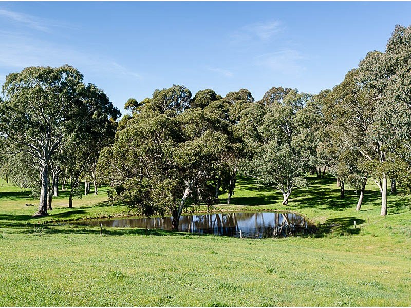 19 Martins Road, Oakbank SA 5243