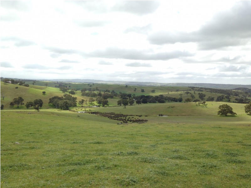 Lot 70 Sawpit Gully Road, Kanmantoo SA 5252