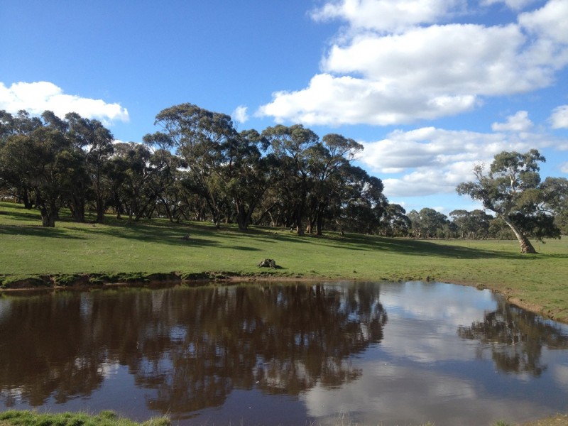 Lot 704 Glover Street, Kersbrook SA 5231