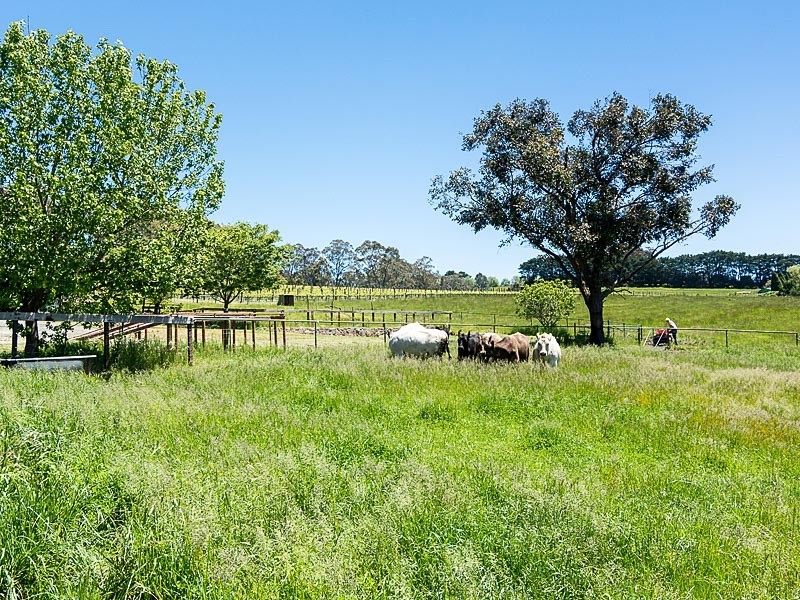 65B Junction Road, Littlehampton SA 5250