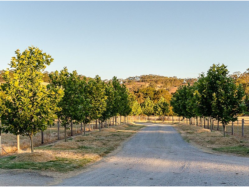 160 Smith Road, Kersbrook SA 5231