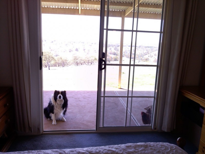 Lot 25 Ironstone Range Rd, Dawesley SA 5252
